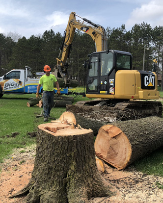 land clearing